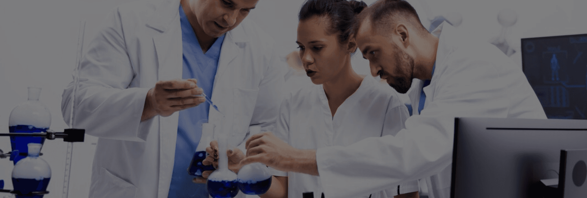 The CHITELIX team collaborating in the lab
