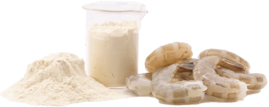 Chitosan powder and shellfish