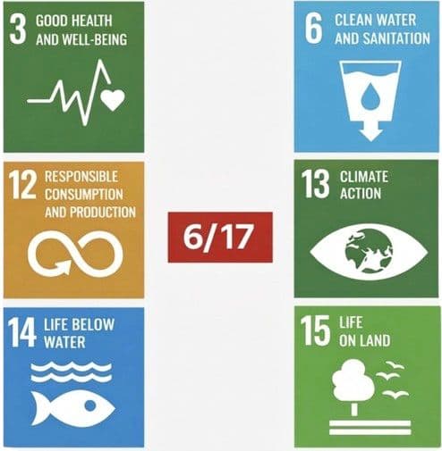 The 6 UN Sustainable Development Goals CHITELIX contributes to