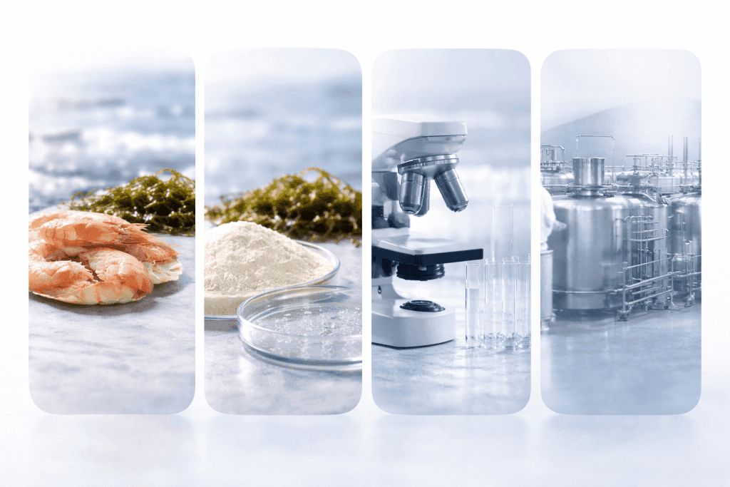What makes Chitelix unique — marine resources, science, and scalable production