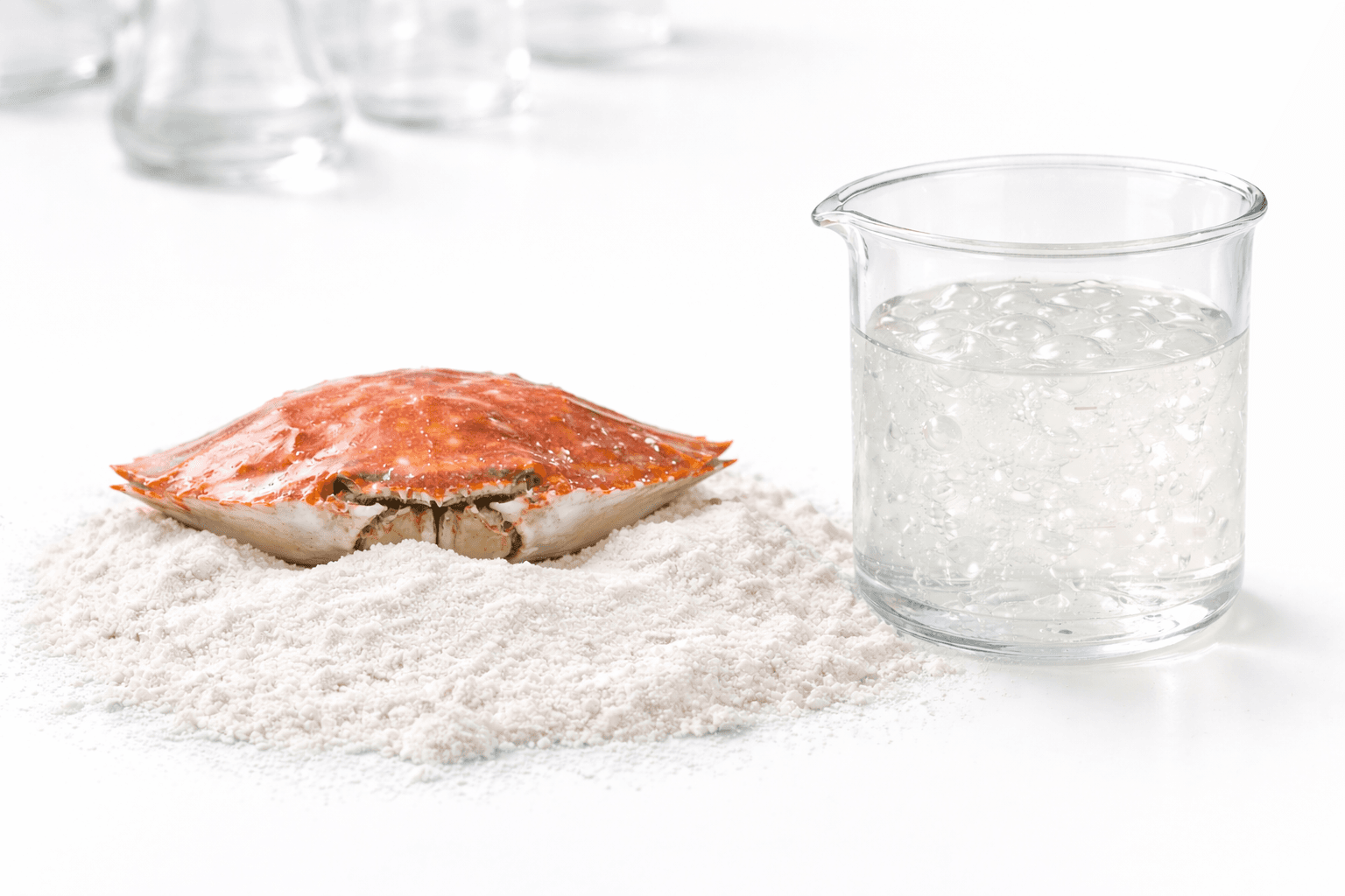Chitosan derivatives — marine raw material and purified solution